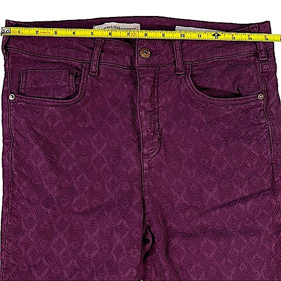 Pilcro & The Letterpress Script size 30 textured maroon skinny pants - Picture 14 of 16